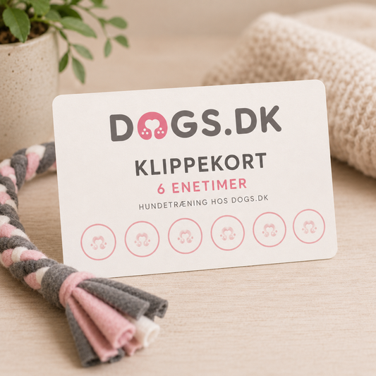 Klippekort – 6 Enetimer