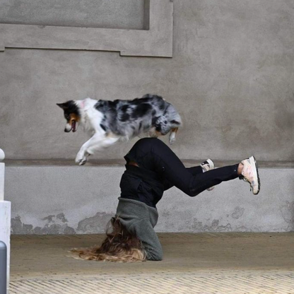 Trick spotkursus